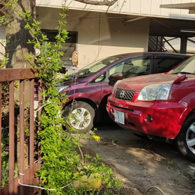 フクフクちゃん、ハウス!の画像