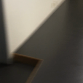 ドイツのバレエ団の夏休みの画像