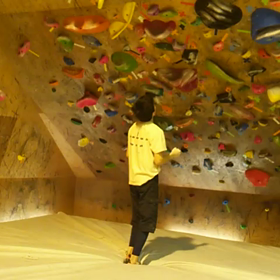 伸び悩み。。。の画像