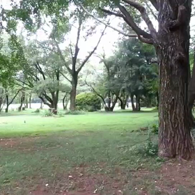 400インターバル 中間点②の画像