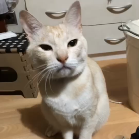 ウルトラマンになりたかった男‼️の画像