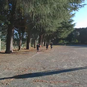 襷練習⑫の画像