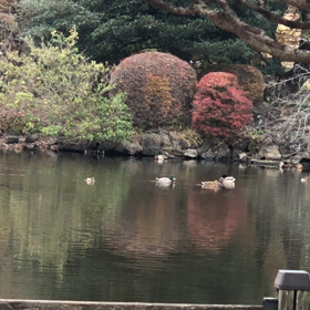公園のベンチでぼんやりとの画像