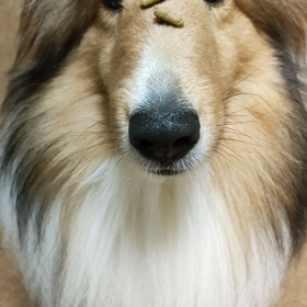 出来る男、現るの画像