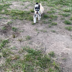 どこまでもの画像