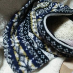 ♯またまたネックウォーマーがぁ～～～♯の画像