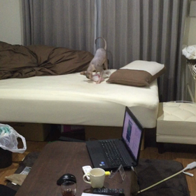 あんたは犬か！の画像