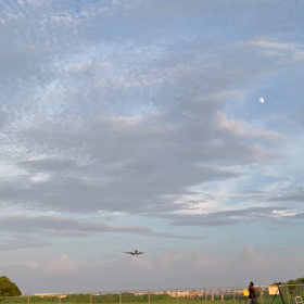 やっぱりこの動画も載せたい！の画像