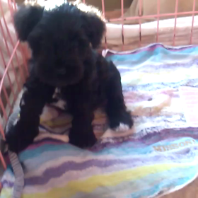 決めました!の画像