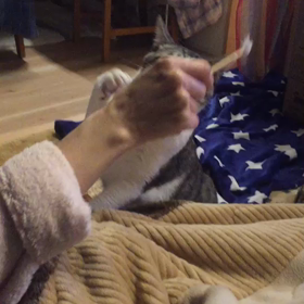 今年もありがとぅ～ヾ(〃^∇^)ﾉ♪の画像