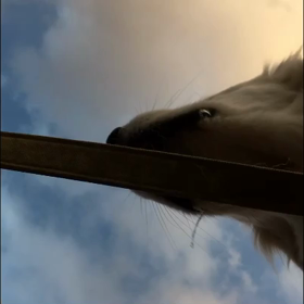 いつもの散歩が違って見える❤️の画像