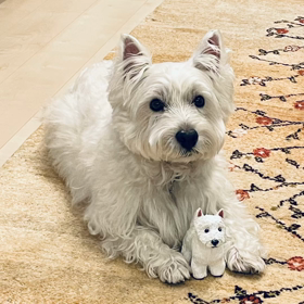 ちびこうちゃんとちびきのこの画像