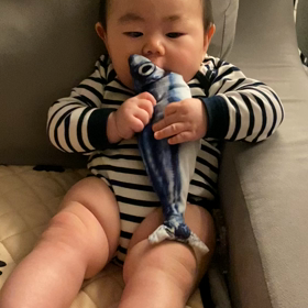 ５ヶ月にして8.5キロのムチムチ坊ちゃん♡の画像