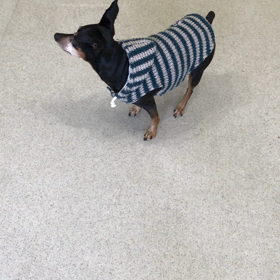 ♪プレイルーム動画♪の画像