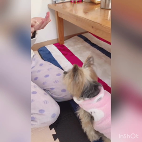 ないやん…の画像