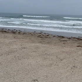 今日の波の画像