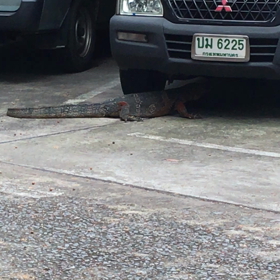 雨季 パート2の画像