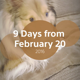 ハイライトムービー～の画像