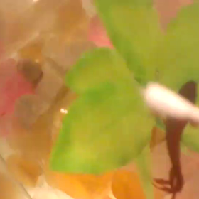 おにょちゃん観察日記の画像