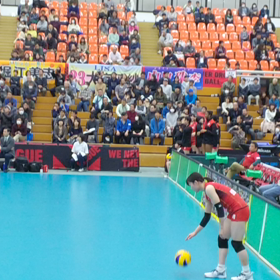 お馴染みの…の画像