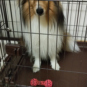 控えめに、文句をの画像