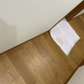 そこかぁ〜い（笑）の画像