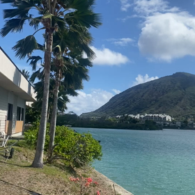 凄腕達人達〜日本〜海外進出の画像