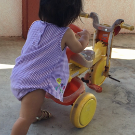 お気に入り。の画像