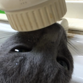 喉の風邪？の画像