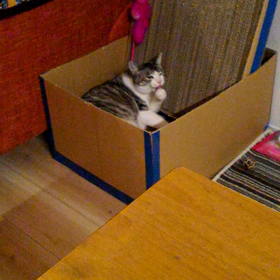 まただ！！の画像