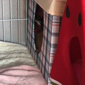 警戒警報発令中だそうですよ、執事悲しい…の画像