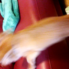 ジャンプの画像