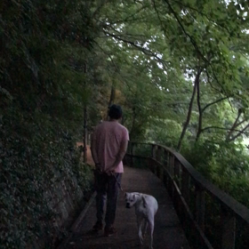 妖精が遊びにきたよ✨の画像