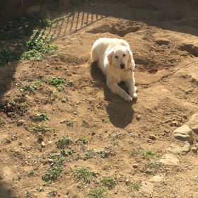 やっぱり♡笑の画像