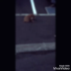 おはようございます♩の画像