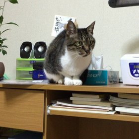 夜 その4の画像