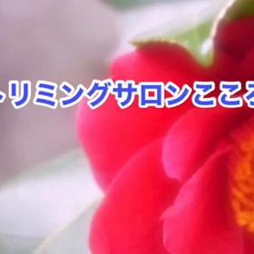 1月　〜スライドショー〜の画像