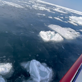 56流氷を見に行くたび 迫力満点だが、中国人親子声がでかいの画像