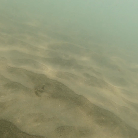 サマーキャンプ2020の画像