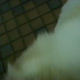 失格な姉弟。笑の画像