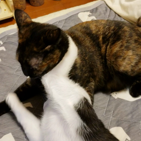 遊ぼう～の画像