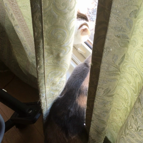 何言ってるんだろうねの画像