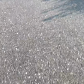 夕方、サイクリング^_^の画像