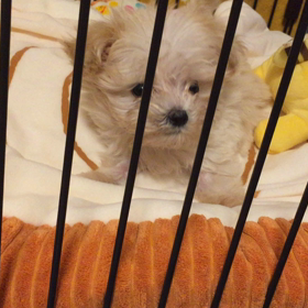 ねんねだよ〜☆の画像