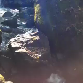 愛と光のメッセージお届けしますの画像