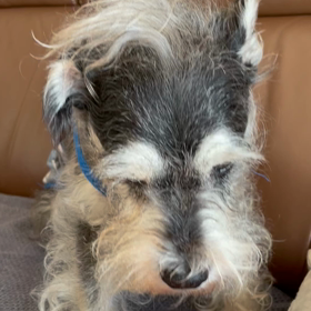 無いなら無理の画像