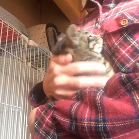 楓ちゃんゲット！の画像