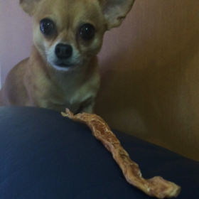 おやつを死守せよ！！の画像