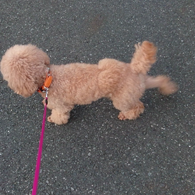 【高速キッキングで応援します‼】の画像