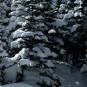 不漁でした(^_^;)　八ヶ岳連峰北横岳(動画編)の画像
